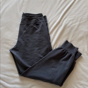 Patagonia jogger pants